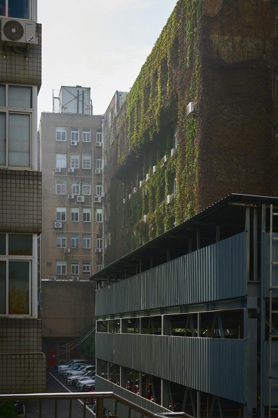 Green Infrastructure